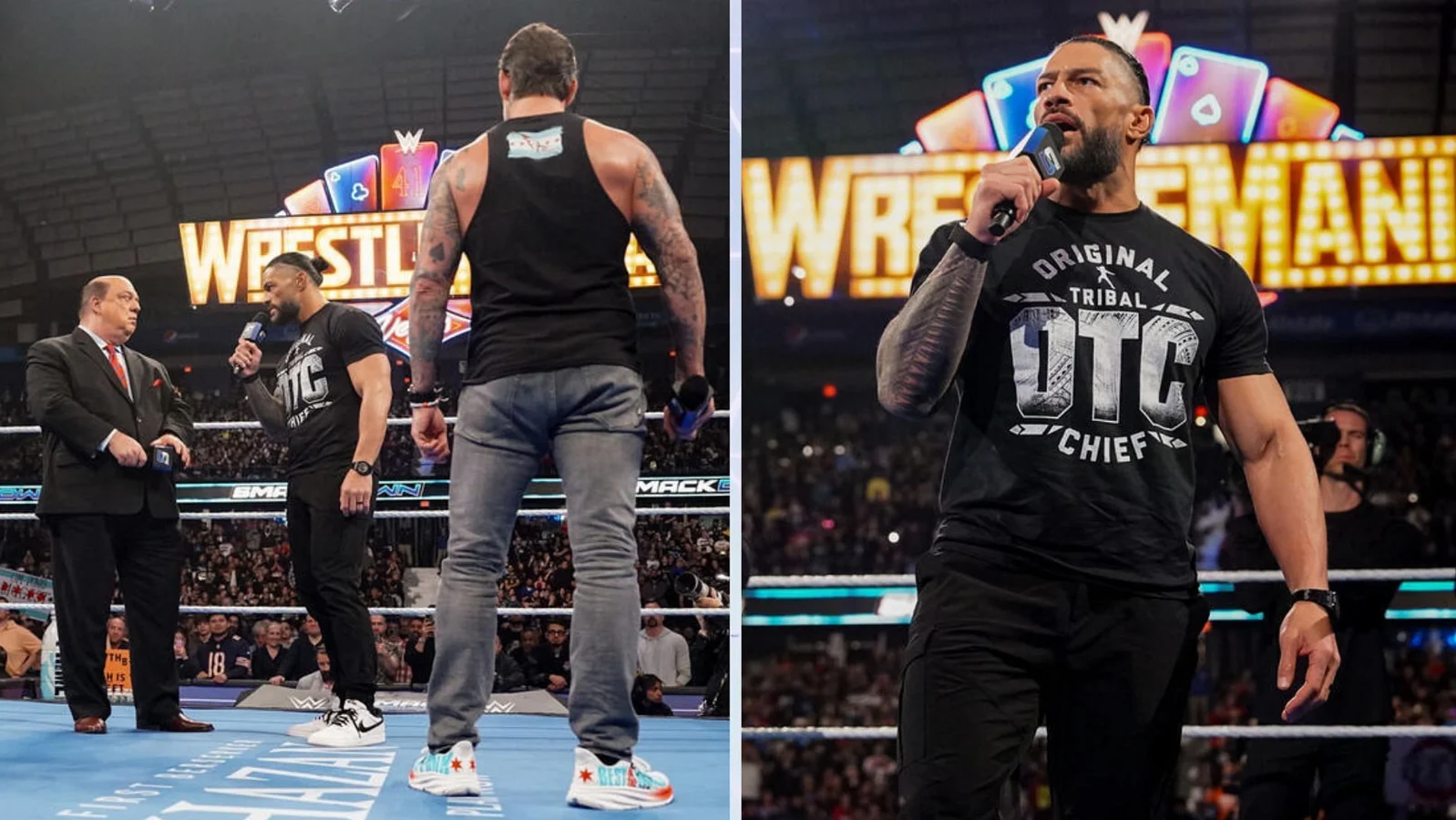 Roman Reigns Big Dog Shield Return