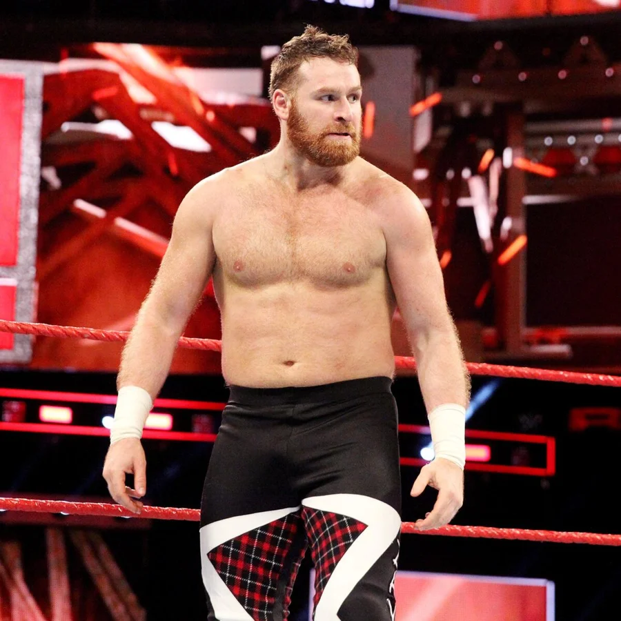 Sami Zayn