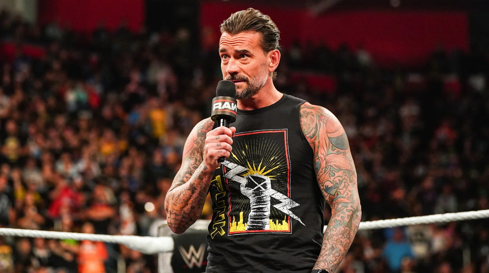 CM Punk