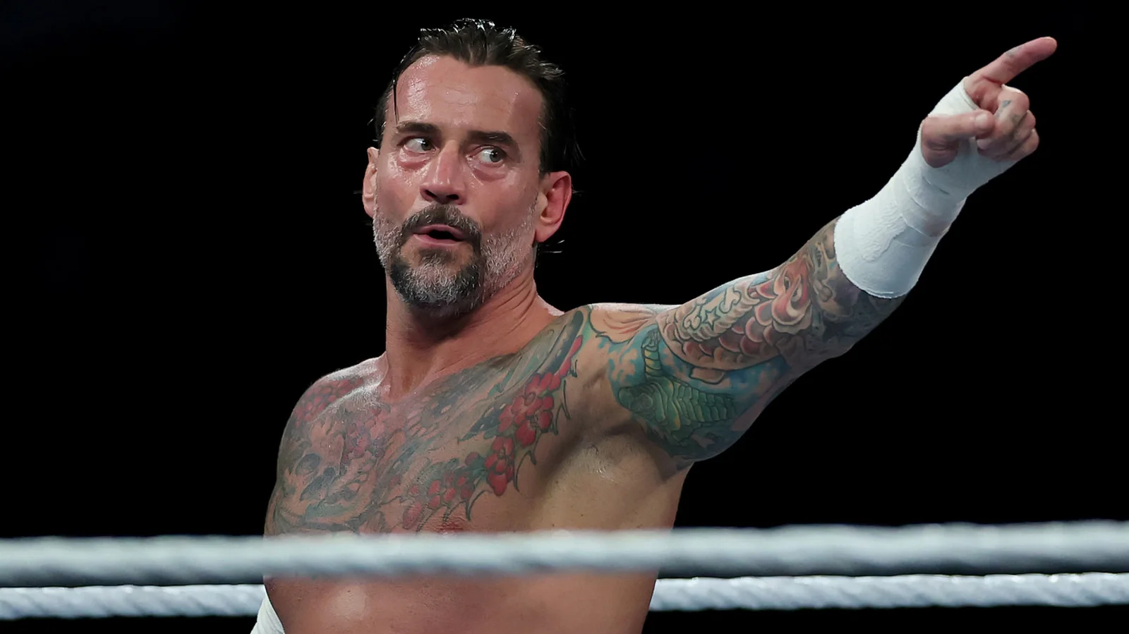 CM Punk