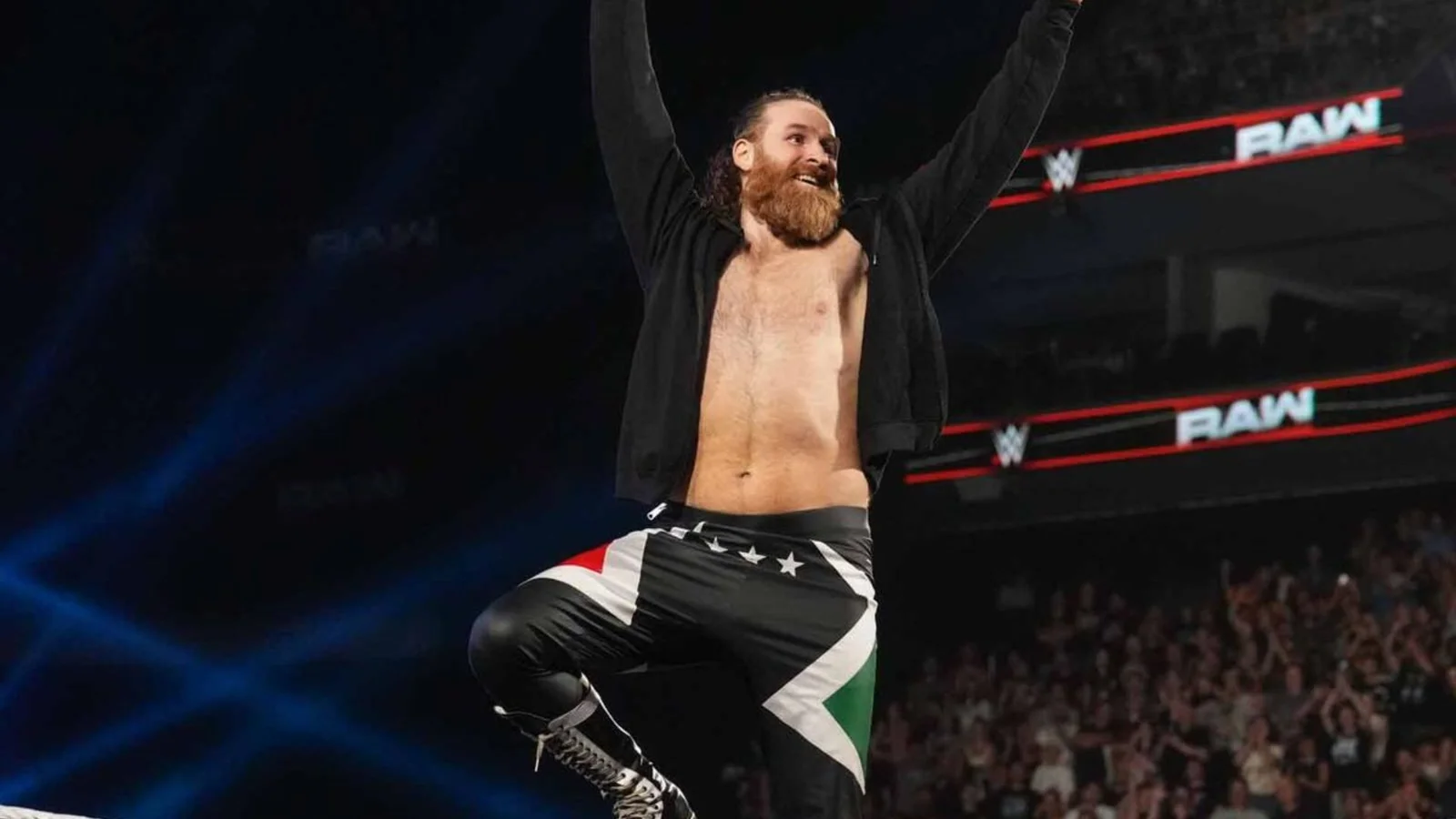 Sami Zayn