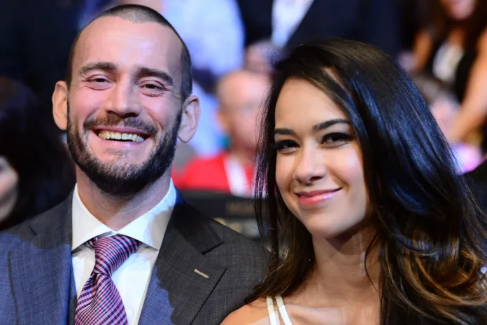 AJ Lee CM Punk Smackdown Return