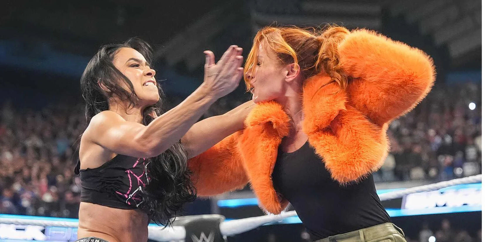 Becky Lynch backstage fight