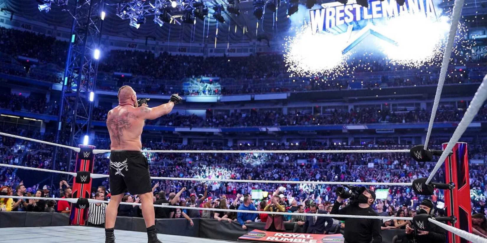 Brock Lesnar Royal Rumble
