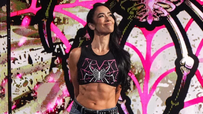 CM Punk AJ Lee mixed tag match