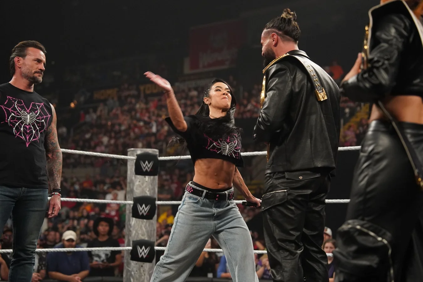 CM Punk The Punisher