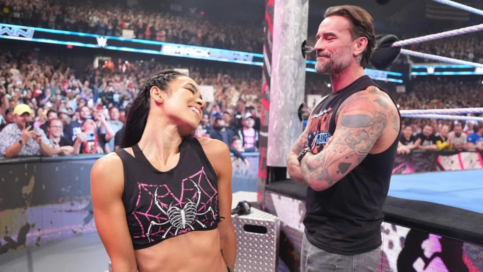CM Punk AJ Lee WWE Return