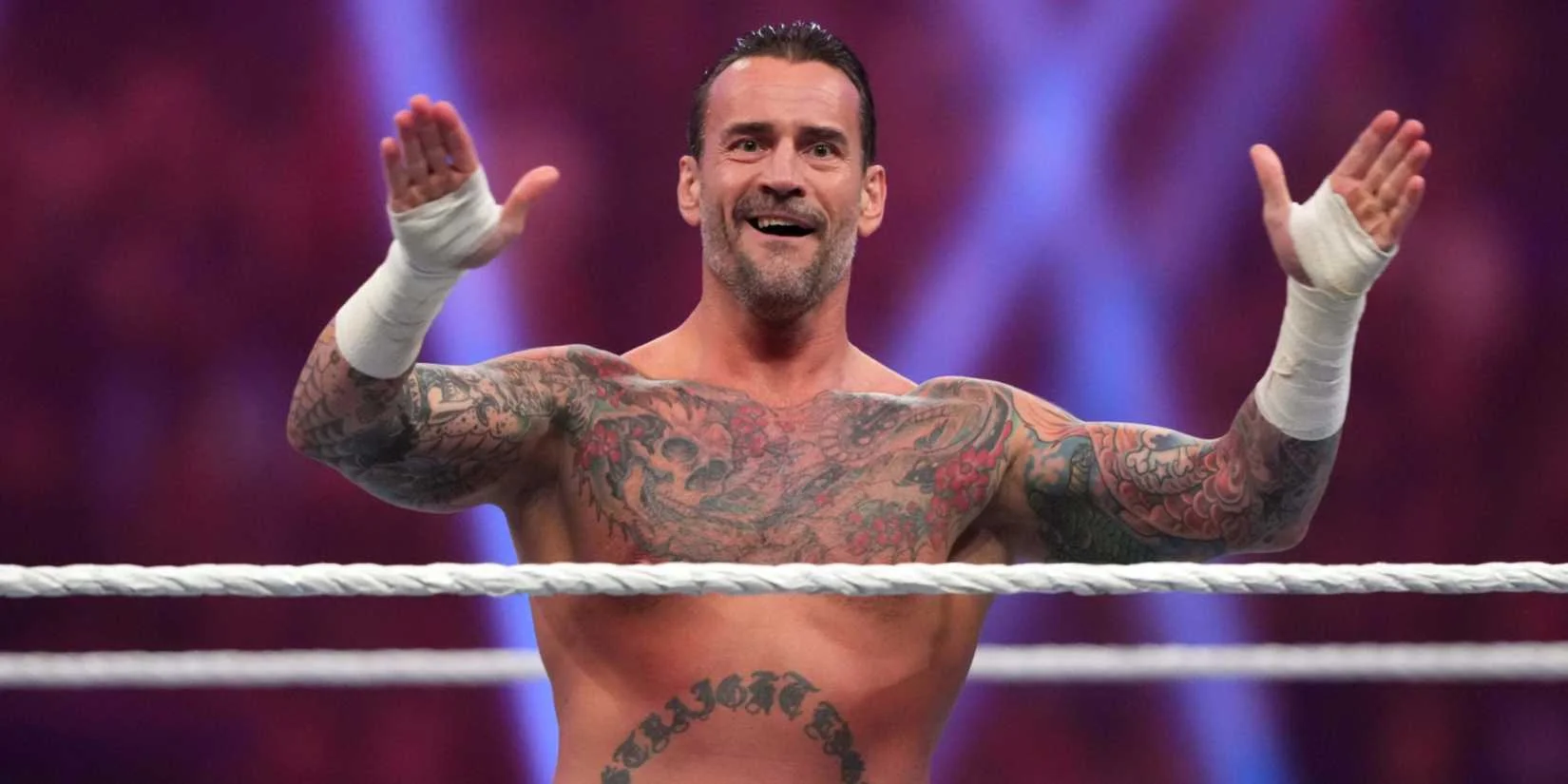 CM Punk WWE return