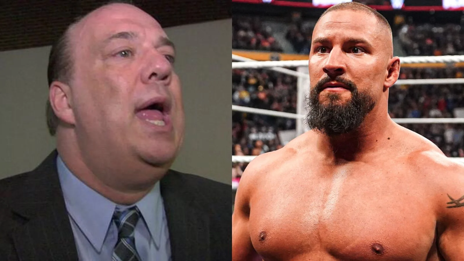 Paul Heyman Wrestlepalooza Apology