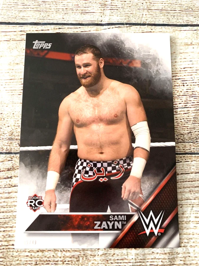 Sami Zayn