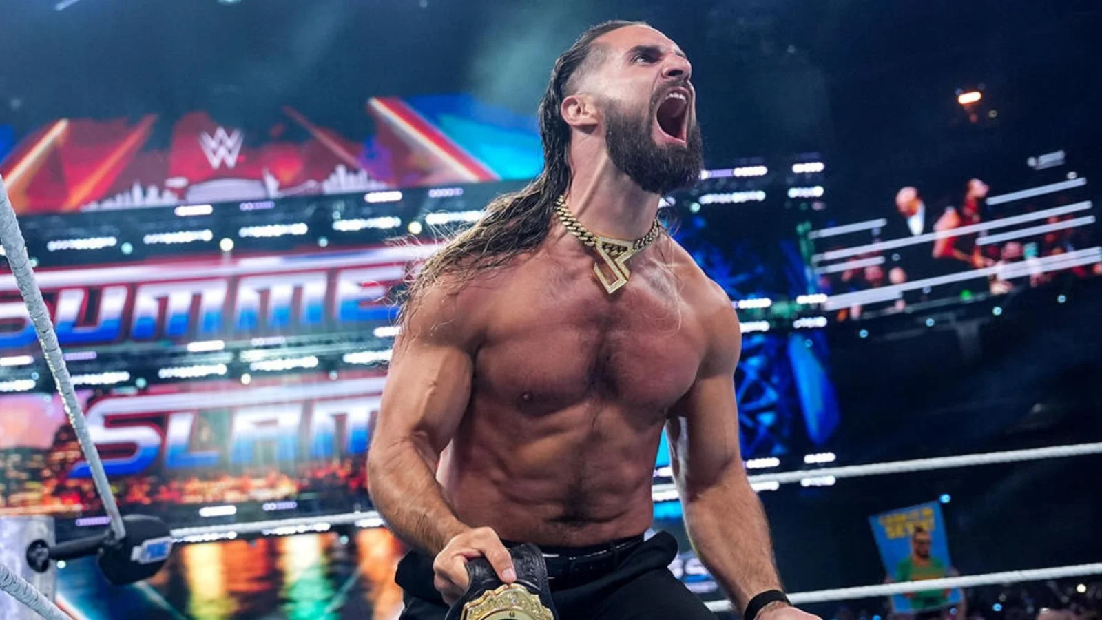 Seth Rollins The Vision