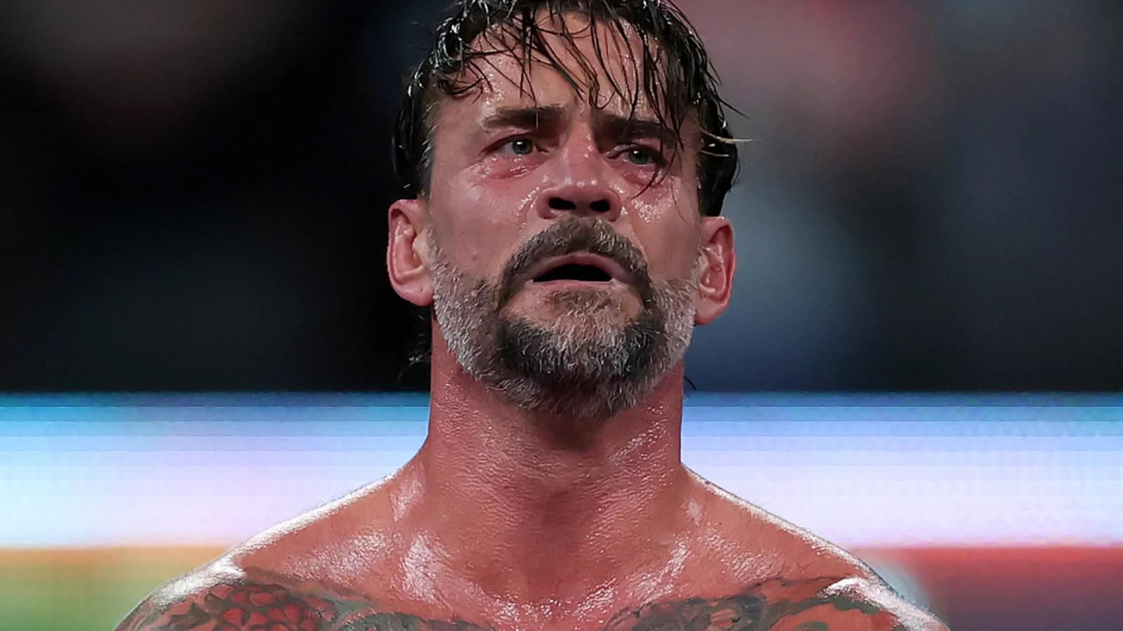 CM Punk WWE Return