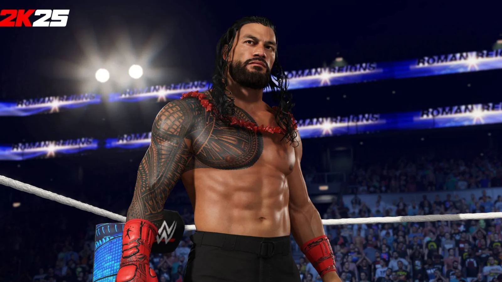 Roman Reigns Tribal Chief