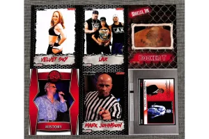 Jeff Jarrett, Team 3D Shake Up TNA Impact in 2005 Showdown