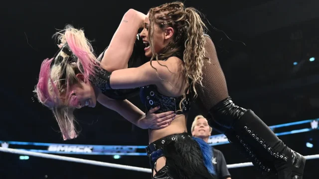 The Miz, WWE, The Miz scrapped tag team